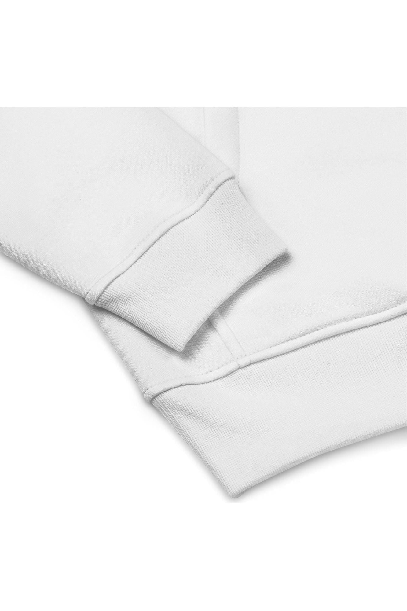 Mr Photogenic Premium eco hoodie