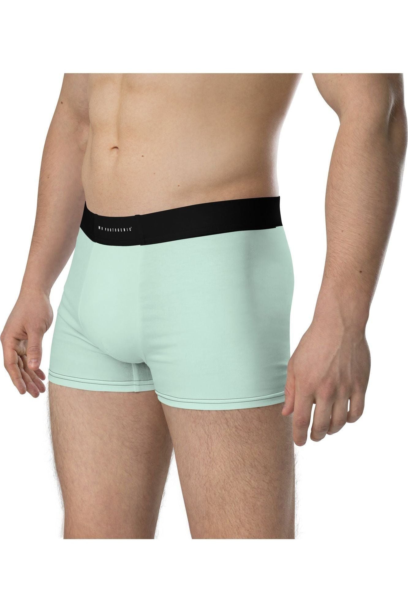 Mr Photogenic Signature Boxer Briefs - Mint Green