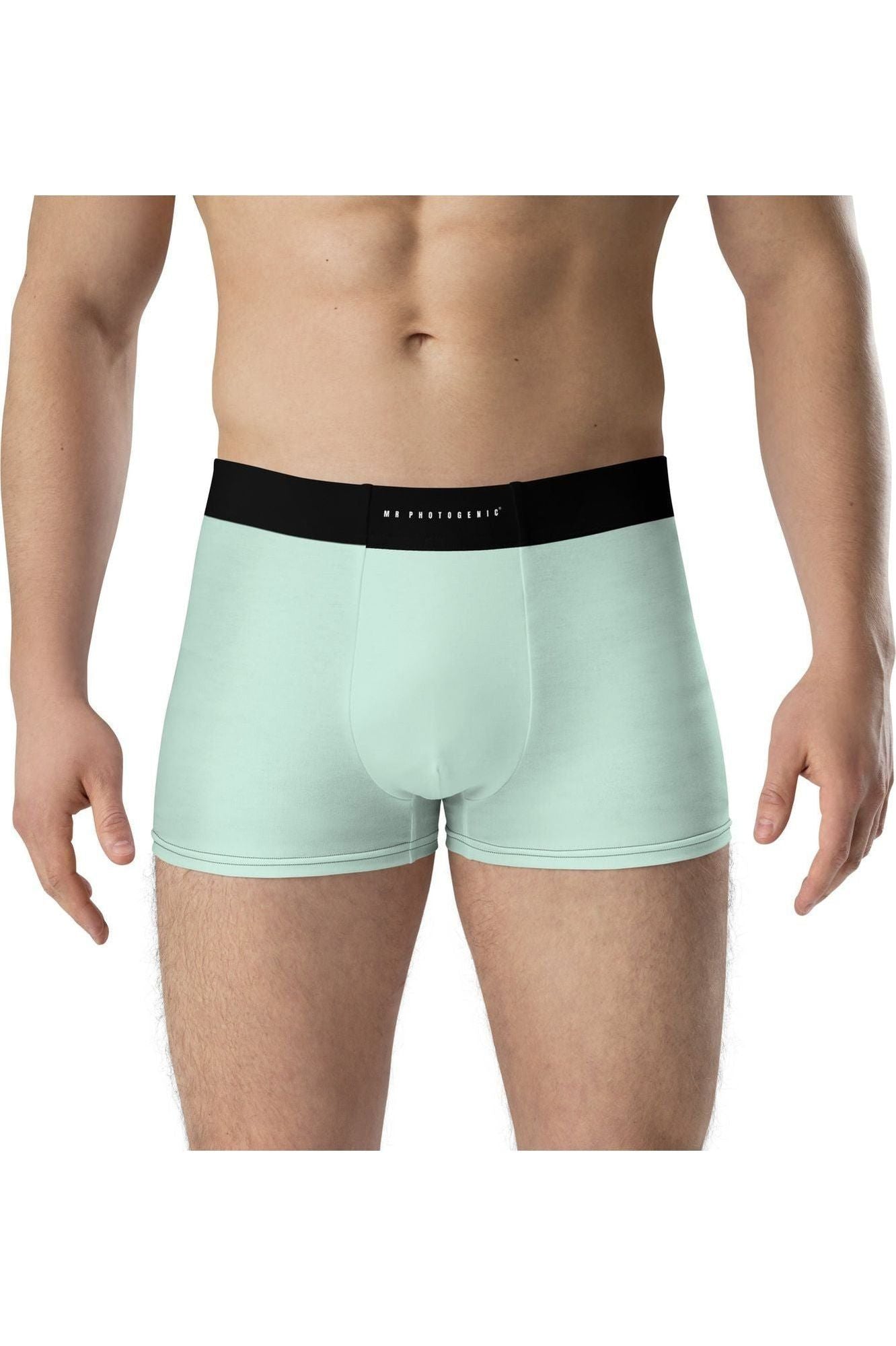 Mr Photogenic Signature Boxer Briefs - Mint Green